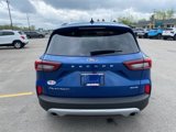 Used 2023 Ford Escape Platinum image 4