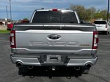 Used 2022 Ford F150 Tremor w/ Equipment Group 402A High image 4