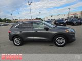 Used 2020 Ford Escape SE image 2