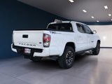 Used 2020 Toyota Tacoma TRD Sport image 5