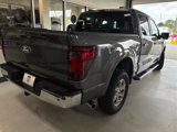 New 2025 Ford F150 XLT w/ Equipment Group 302A MID image 6