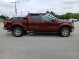 Used 2010 Ford F150 Lariat image 6