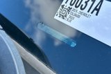 Used 2019 Chevrolet Colorado W/T w/ WT Convenience Package image 3