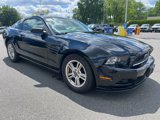 Used 2014 Ford Mustang Coupe w/ Equipment Group 102A image 3