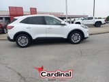 Used 2020 Ford Escape SE image 3