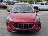 Used 2020 Ford Escape SE image 3