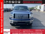 Used 2010 Ford F150 XLT image 5