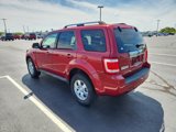 Used 2009 Ford Escape Limited image 5