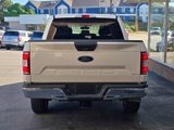 Used 2020 Ford F150 XLT w/ Equipment Group 301A Mid image 6