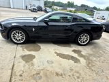 Used 2014 Ford Mustang Premium w/ Equipment Group 202A image 3