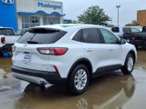 Used 2021 Ford Escape SE image 2