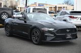 Used 2022 Ford Mustang Premium image 5