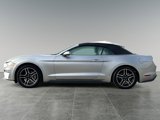 Used 2022 Ford Mustang Premium image 4
