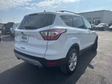 Used 2018 Ford Escape SEL image 3
