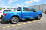 Used 2016 Ford F150 XLT w/ Equipment Group 302A Luxury image 6