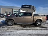 Used 2019 Ford F150 XLT w/ Equipment Group 302A Luxury image 2