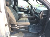 Used 2018 Ford F150 XLT w/ Equipment Group 302A Luxury image 5
