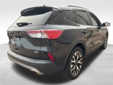 Used 2020 Ford Escape SE Sport image 4