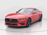 Used 2024 Ford Mustang Premium image 6