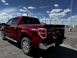 Used 2014 Ford F150 XLT w/ Equipment Group 302A Luxury image 3