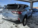 Used 2022 Ford Escape SE image 5