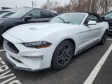 Certified 2023 Ford Mustang Premium image 3