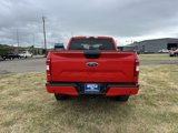 Used 2019 Ford F150 XL w/ Equipment Group 101A Mid image 5