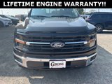 New 2024 Ford F150 XLT w/ Equipment Group 303A High image 3