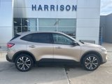 Used 2021 Ford Escape SE w/ SE Sport Appearance Package image 6