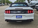 Used 2023 Ford Mustang Premium image 4
