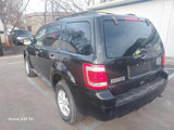 Used 2011 Ford Escape XLT image 5