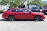 New 2025 Honda Accord Sport image 4