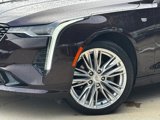Certified 2022 Cadillac CT4 Premium Luxury w/ Technology Package image 3