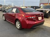 Certified 2024 Toyota Corolla LE image 3