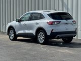 Used 2020 Ford Escape SE image 5