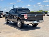 Used 2010 Ford F150 Lariat image 5
