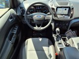 Used 2019 Ford Escape SE image 3