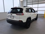 Used 2023 Jeep Cherokee Altitude Lux image 5