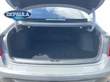 Used 2023 Hyundai Sonata Limited image 6