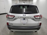 Used 2020 Ford Escape SEL image 5