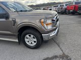 Used 2021 Ford F150 XL w/ Equipment Group 101A High image 4
