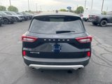 Used 2024 Ford Escape Active image 4