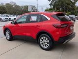 Used 2024 Ford Escape Active w/ Tech Pack #1 image 5