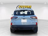 Used 2021 Ford Escape SE w/ SE Sport Appearance Package image 4
