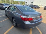 Used 2014 Honda Accord EX-L image 3
