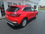 Used 2024 Ford Escape Active image 4