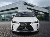 New 2025 Lexus UX 300h AWD image 2