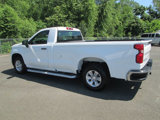 Used 2024 Chevrolet Silverado 1500 W/T w/ WT Fleet Convenience Package image 4