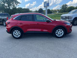 Used 2023 Ford Escape Active w/ Tech Pack #1 image 4