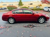 Used 2005 Nissan Maxima 3.5 SL image 6